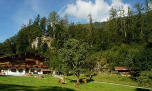 a group of cows in a field next to a building at Sulzenhof inkl. Chiemgaukarte in Ruhpolding