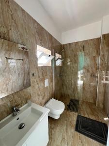 a bathroom with a toilet and a sink and a shower at Villa Filip in Vuno