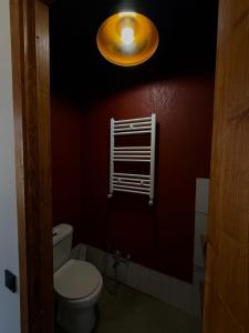 a bathroom with a toilet and a light on the wall at Bakuriani in Bakuriani +14 photos
