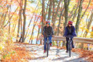 two children are riding bikes down a trail at Hakuba Gateway Hotel in Hakuba