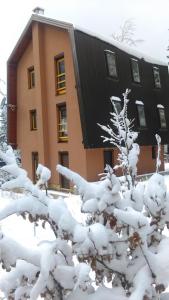a building with snow covered trees in front of it at Apartments Aurelius in Jahorina