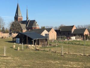 a group of sheep in a field in front of a church at Cosy farmhouse with sauna in Sint-Truiden