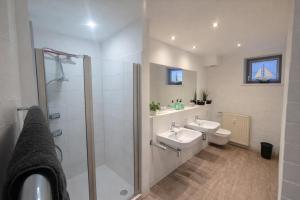 a bathroom with a shower and a sink and a toilet at Charmante FeWo in Dorflage in Ebersdorf