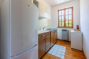 a kitchen with a refrigerator and a sink at Apartments Ivan in Kampor +56 photos