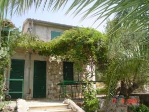 a house with green doors and a palm tree at House Kornati Robinzon in Sit