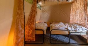 a room with two beds in a tent at Glamlodge Ameland direct aan het strand in Nes