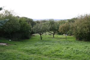 a field of green grass with trees in the background at Serenane in Saint-André-de-Najac