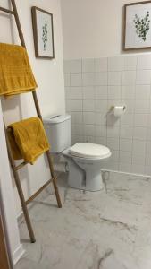 a bathroom with a toilet and a ladder in it at La Grange bnb in Yviers