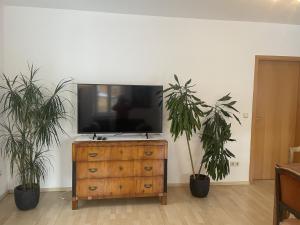 a television on a wooden dresser with two plants at Maisonette Giggi in Peiting