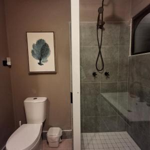 a bathroom with a shower and a toilet and a sink at Project Tranquility, Magnetic Island in Nelly Bay