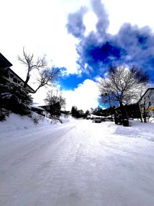 eine schneebedeckte Straße mit Bäumen und blauem Himmel in der Unterkunft Hotel Kodama in Yamanouchi + 17 Fotos