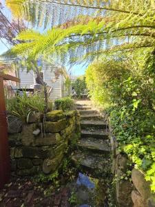 a garden with a stone pathway and a palm tree at Cascade Cottage Circa 1840 in West Hobart