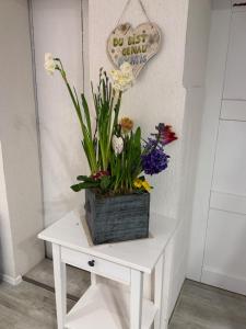 a white table with a potted plant on it at Haus Bergverliebt in Sebnitz +16 photos