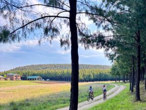 two people riding bikes down a dirt road at Shiloh Lodges Tweefontein in Mooiriver