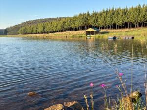 a lake with a gazebo in the middle of it at Shiloh Lodges Tweefontein in Mooiriver