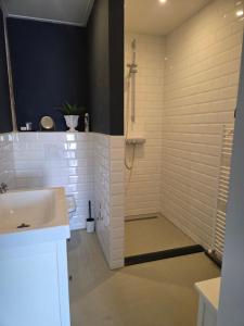 a bathroom with a shower and a sink at De Citadel - de Weide in Markelo