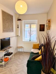 a living room with a green couch and a window at LE 111 in Fécamp