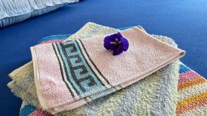 a purple flower sitting on top of a rug at Similan Home Stay in Ban Lam Ru (1) +150 photos