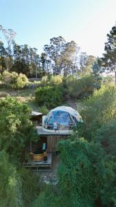 a house with a tent on top of a forest at Soul Forest GeoDome - Off-grid Nature Escape in Sedgefield +53 photos