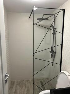 a glass shower door in a bathroom with a toilet at Central Apartment in Zalău