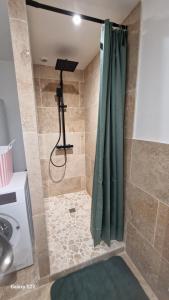 a shower with a green shower curtain in a bathroom at Gîte pour 2 personnes in Le Bugue