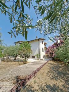 a building in the middle of a yard with trees at White Cottage - WelcHome in Mozzagrogna