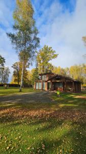 a house in a field with a tree in front of it at Lauviņu rezidence in Kocēni