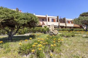 a field of flowers in front of a house at L14 Appartamento Valle della Luna in Stintino
