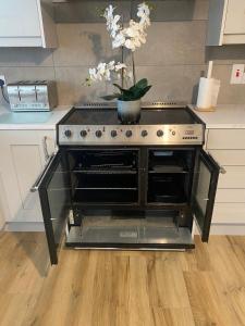 a stove in a kitchen with a potted plant at Carrickasticken House in Dungooly Cross Roads