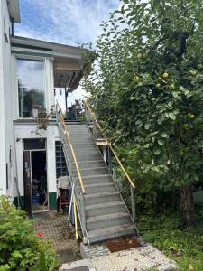 a staircase leading up to a house with an orange tree at Zimmer mit Aussicht, Gstaltenrain 19 in Kaiseraugst