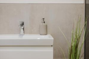 a bathroom sink with a soap dispenser on it at Stadtblick Passau Apartment in Passau +40 photos