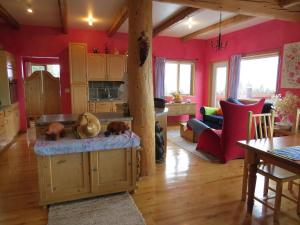 Kuchyň nebo kuchyňský kout v ubytování Tschurtschenthaler Lodge