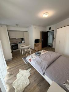 a bedroom with a bed and a living room at Studio Residential Vitan in Bucharest