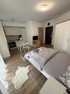 a bedroom with a large bed and a kitchen at Studio Residential Vitan in Bucharest