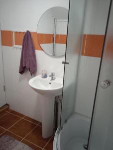 a bathroom with a sink and a shower at Vila Sabo in Sîntioana