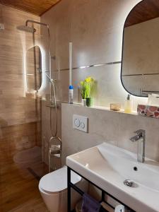 a bathroom with a sink and a toilet and a mirror at Apartmány Hrabušice in Hrabušice +52 photos