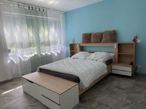 a bedroom with a bed and a blue wall at Horizont 360 in Kitzingen