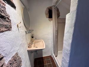 a bathroom with a sink and a mirror at Tiny Gite La Petite Grue in Louroux-Bourbonnais +9 photos