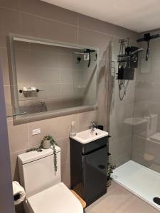 a bathroom with a toilet and a sink and a shower at The Old Quarry Hideaway in Cowling +24 photos