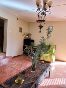 a living room with a table and a chandelier at Bird cottage in Barrydale