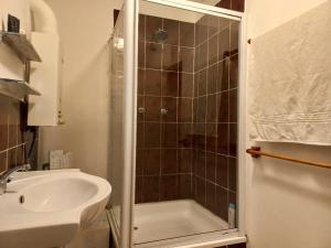 a small bathroom with a shower and a sink at Bird cottage in Barrydale