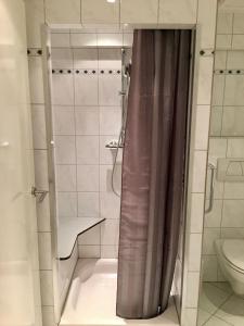a bathroom with a shower with a sink and a toilet at Hotel Salden in Schin op Geul