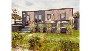 a modern house with plants in front of it at Camping in de Bongerd - Kust&Q in Oostkapelle