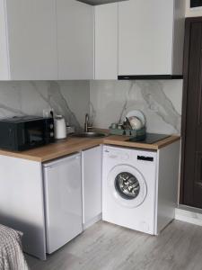 a kitchen with a washing machine and a sink at Studio Room in Chişinău