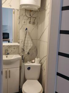 a bathroom with a toilet and a sink at Studio Room in Chişinău
