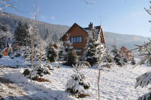 Το Kozichky Guest House τον χειμώνα
