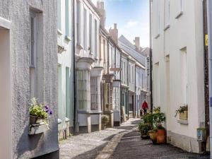 an alley with buildings and potted plants on a street at 2 Bed in Bideford oc-53994 in Appledore