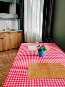 a table with a red and white checkered table cloth with a plant on at GuestHouse 4 Karma369 in Plovdiv