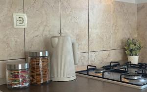 a kitchen counter with a stove and a blender at Barbara in Otočac +26 photos