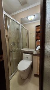 a bathroom with a toilet and a shower and a sink at Casa Pichay in Vigan +12 photos